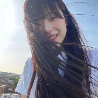鲨人树儿